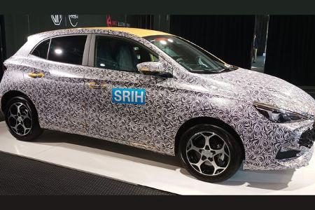 MG3 Kleinwagen getarnt