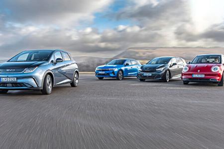 Dolphin_Funky Cat_Astra_Born