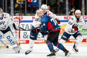 Adler fordern die Eisbären im Viertelfinale