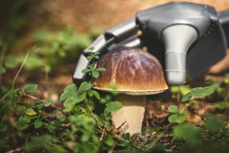 Roboterhand greift nach Pilz im Wald