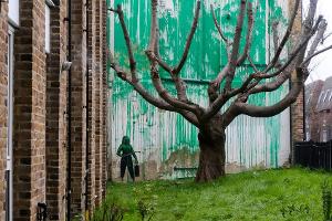 Banksy bekennt sich zu Baumbild in London