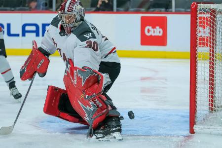 Eishockey: Sechs Spielerinnen aus Nordamerika im WM-Team