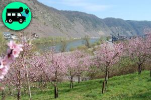 Mosel Alternative Stellplätze