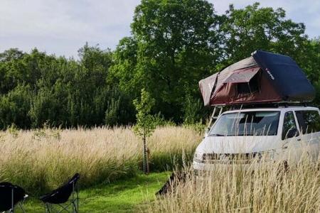 Alpaca Aufm Kreuzberg