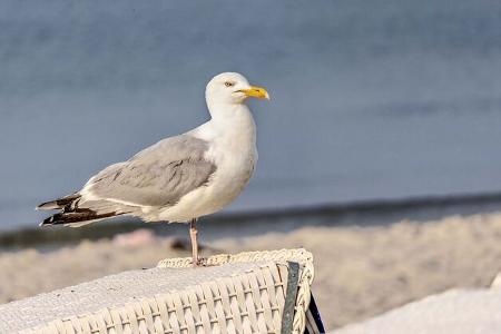 Wohnmobil-Reise Mecklenburg-Vorpommern