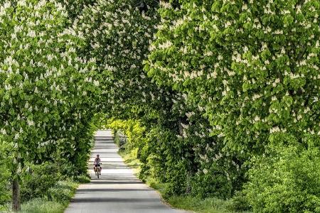 Wohnmobil-Reise Mecklenburg-Vorpommern