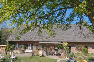 "Sommerhaus der Stars": Normalo-Ableger kommt zu RTL+