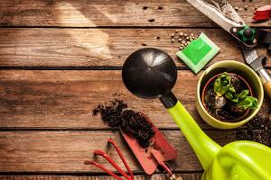 Frühlingserwachen: Praktische Apps und Gadgets für Gärtner