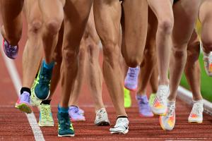 Zentrum für Safe Sport: Rechtsgutachten veröffentlicht