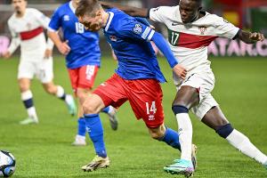 Blitz-Eigentor: Liechtenstein beendet Rekord-Pleitenserie