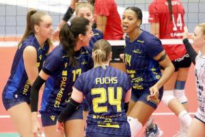 Volleyball: Schwerin und Potsdam im Halbfinale
