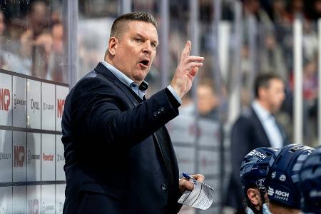 Tigers vor DEL-Halbfinale hungrig: 