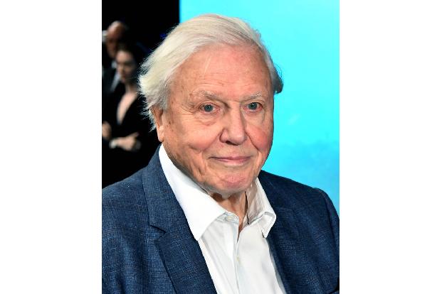 Vor 11 Jahren wurde dem legendären britischen Naturfilmer David Attenborough ein Herzschrittmacher eingesetzt. Mit Erfolg: Mit mittlerweile 97 Jahren macht er noch immer Tier-Dokus, die in der ganzen Welt ausgestrahlt werden.