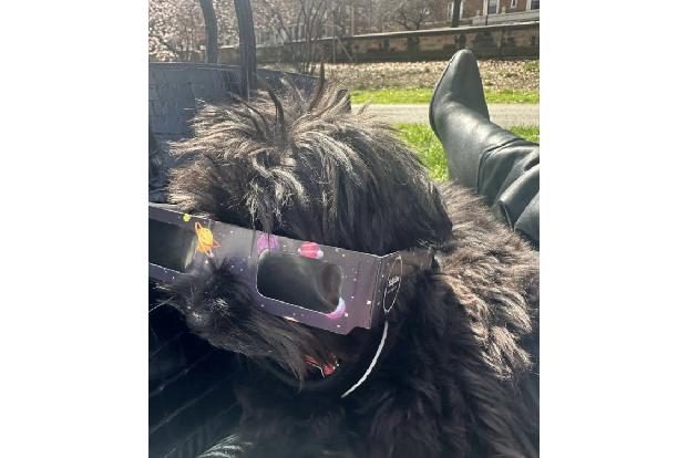 ...stellte sicher, dass auch ihr Hund geschützt gewesen wäre, hätte er denn plötzlich den Drang gehabt, in die Sonne zu schauen.