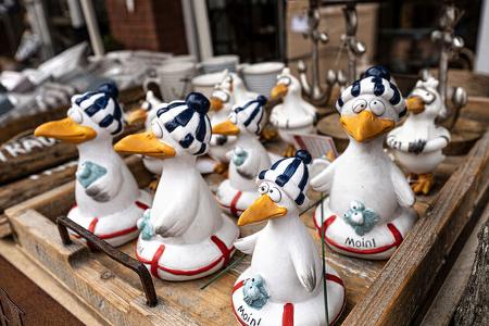 Schleswig-Holstein x