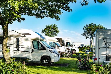 Schleswig-Holstein x