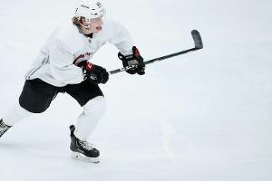 DEL: Roosters holen Kanadier Burke