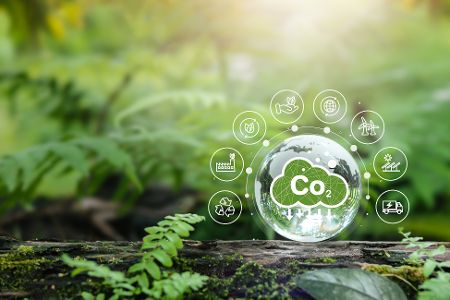 Grafik zur nachhaltigen CO2-Reduktion mit einem grünen Wald im Hintergrund