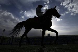 Springreiten: Chromatic BF nach Kollaps gestorben