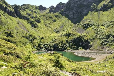 Camping Mario Village