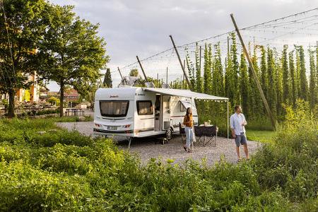 Dethleffs c'go (2024)