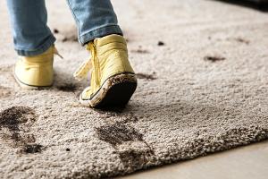 Bakterienalarm: Schuhe in der Wohnung an oder aus?