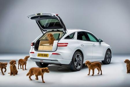 05/2024 Genesis GV70 X Dog Hunde-Ausstattung