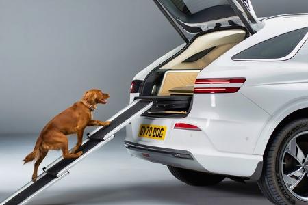 05/2024 Genesis GV70 X Dog Hunde-Ausstattung