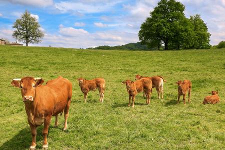 Drei Volltreffer in den Pyrenäen