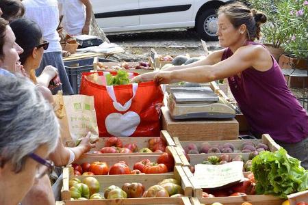 Wohnmobil-Reise Südfrankreich