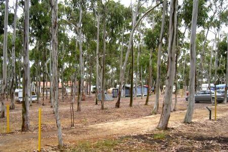 Parque de Campismo do Serrao