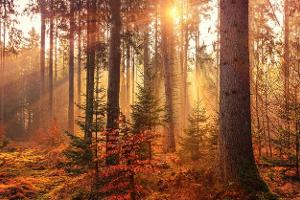 Tipps für den Herbst