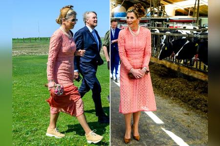 Überraschender Anblick: Willem-Alexander und Máxima im Kuhstall
