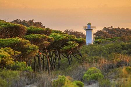 Tour entlang der Costa de la luz (2021)