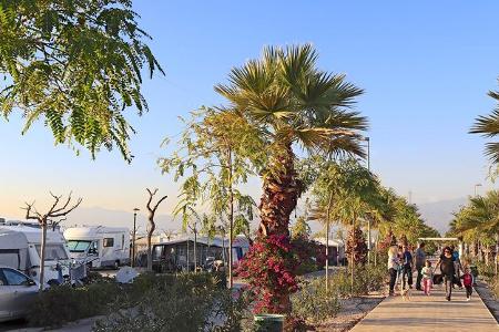 Marjal Resorts Costa Blanca