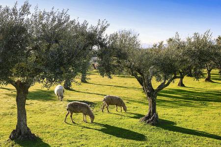 Camping-Reise Extremadura