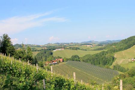 Oesterreich, Suedsteiermark Weinberge f