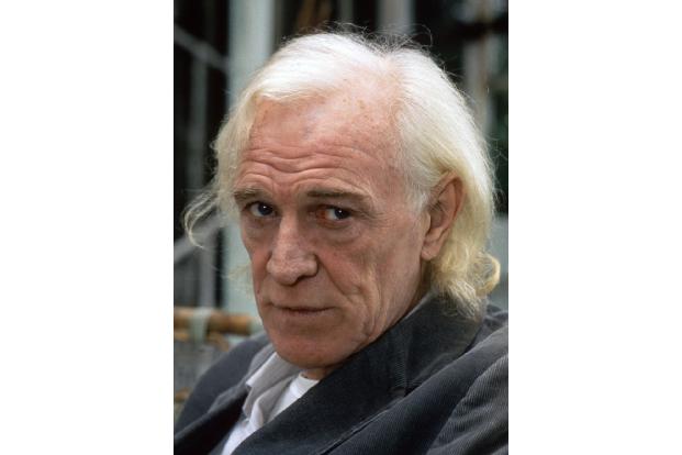 Als der Original-Dumbledore Richard Harris starb, war Ian McKellen einer der Schauspieler, die man als Ersatz für die Rolle des Hogwarts-Schulleiters im Harry-Potter-Franchise ins Auge fasste. Doch er ...