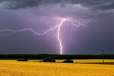 Wenn es blitzt und donnert: So verhält man sich richtig bei Gewitter