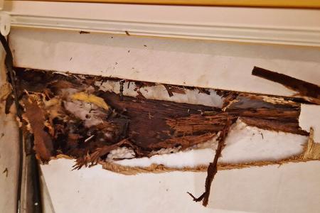 Seitenwand, DuchnŠsst, Aufgerissen, HolzgerŸst, verrottet