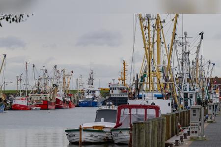 Büsum Hafen