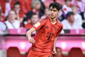 Pavlovic: Operation nach der EM?