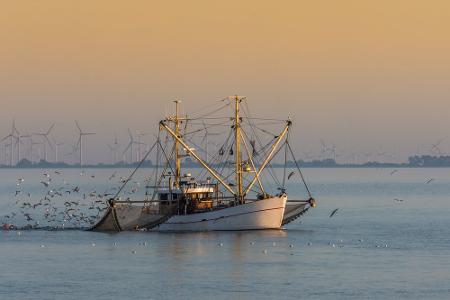 Büsum Kutter