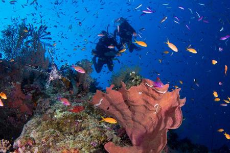 Great Barrier Reef