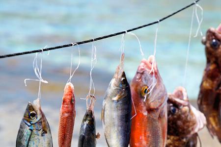 Roadtrip Griechenland Chalkidikis i