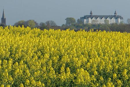 Naturcamping Spitzenort
