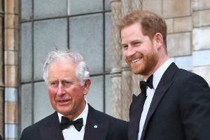 Royaler Geldregen: Charles, William und Harry bekommen Millionen