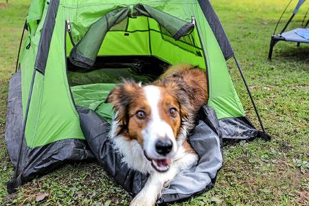 Campingplatz Hundehalter f