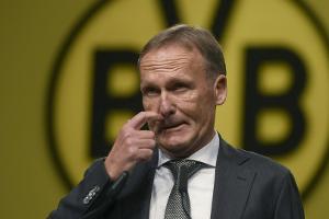 BVB knackt die halbe Milliarde Umsatz