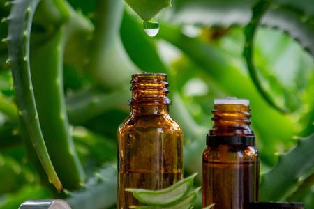 Aloe Vera